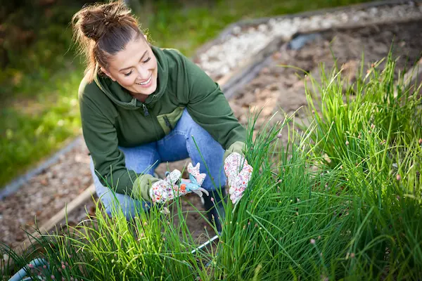 Amenajare spatiu verde in Confort Urban Evolution